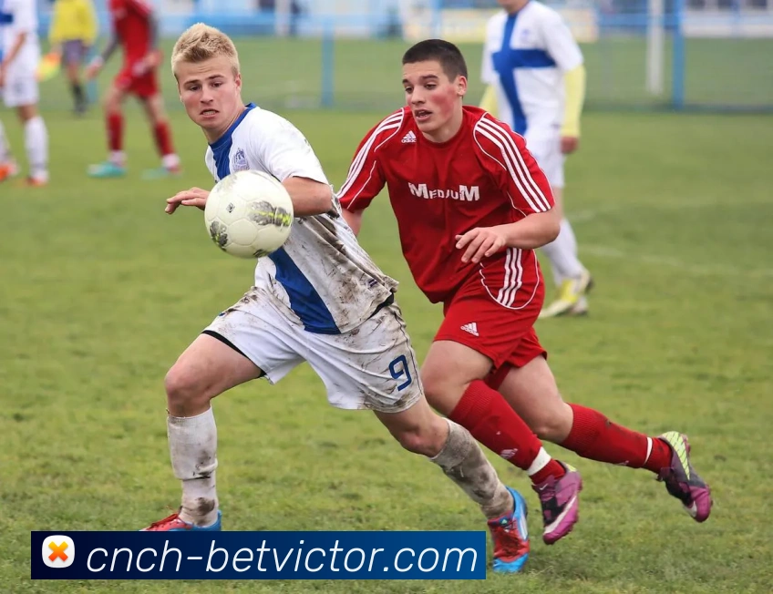 BETWAY必威官网平台生态图